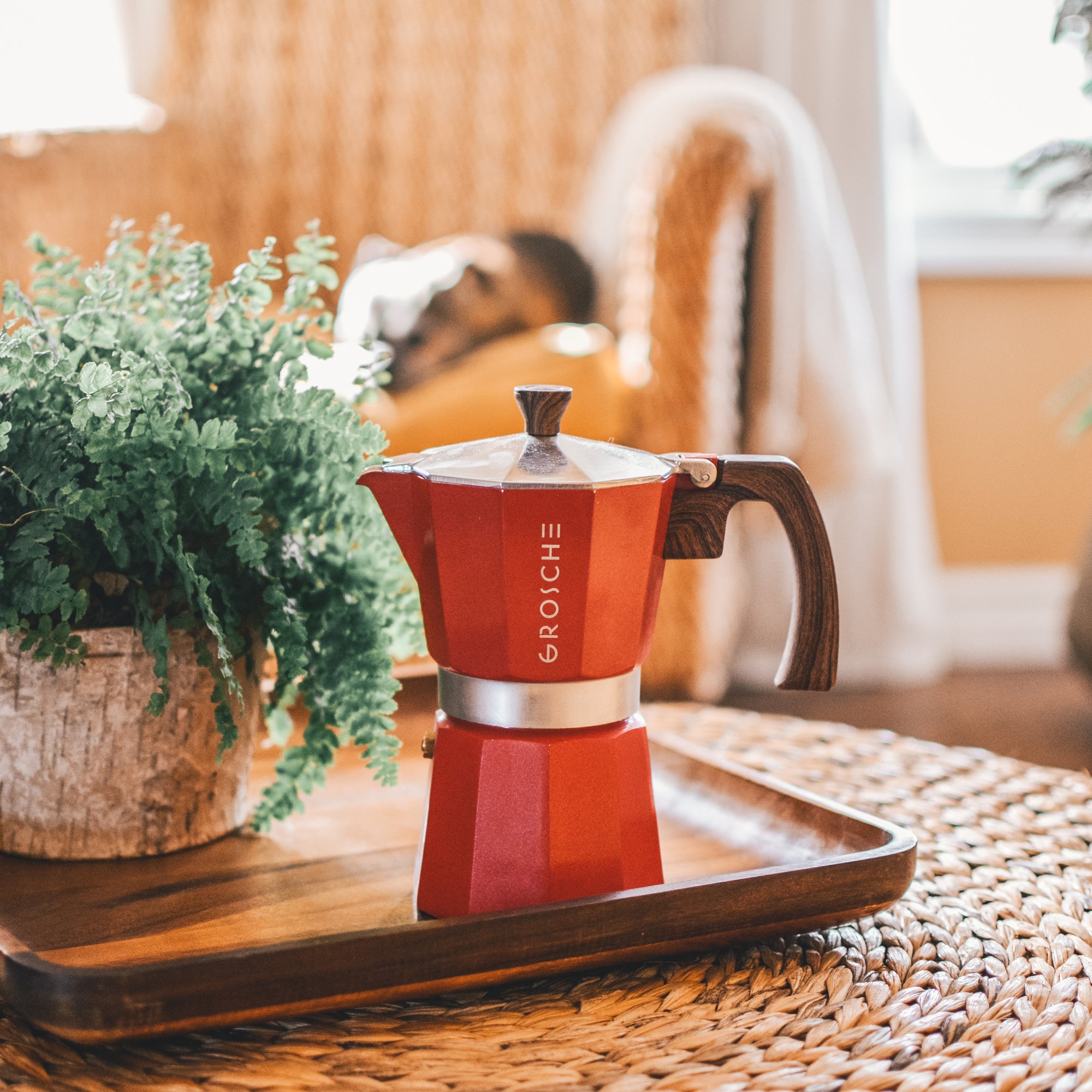 Cafetera Milano Roja para 6 tazas – Mokador 100% STRAORDINARIO
